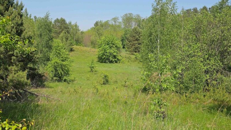 У Дніпрі суд зобов’язав власницю бази відпочинку сплатити 5,6 млн грн за користування землею