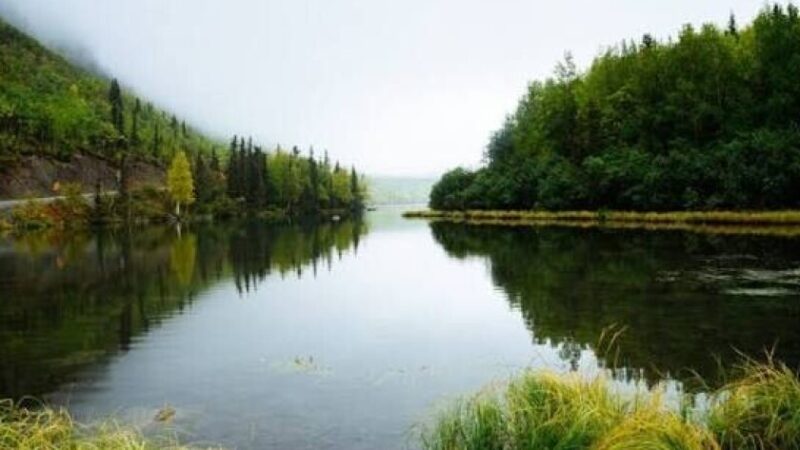 На Дніпропетровщині назвали водойми, де не радять купатися