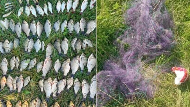 На Дніпропетровщині виявили рибалку-браконьєра, який наловив риби на понад 205 тис. гривень