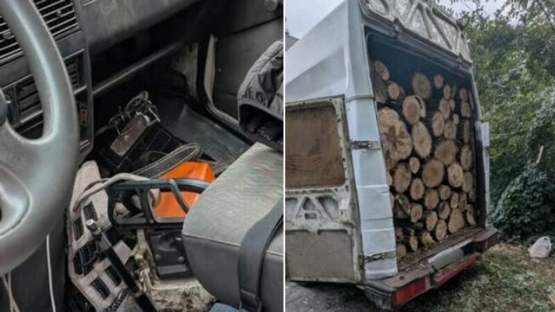 Небайдужі громадяни повідомили про спилювання дерев:  у Кривому Розі затримали двох чоловіків