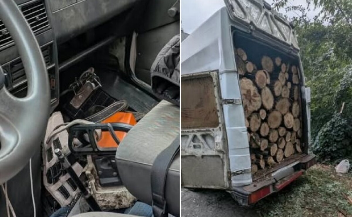 Небайдужі громадяни повідомили про спилювання дерев:  у Кривому Розі затримали двох чоловіків