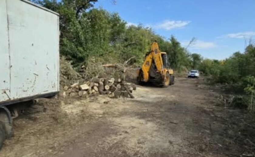 Незаконно вирубували зелені насадження: у Дніпровському районі патрульні виявили двох чоловіків