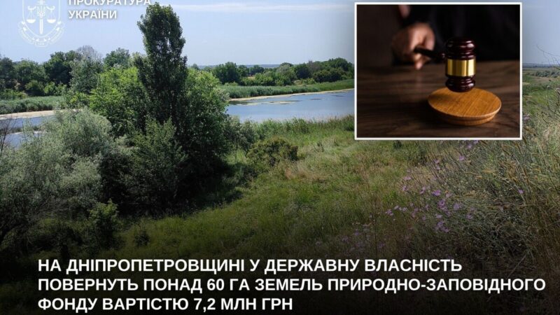 На Нікопольщині державі повернуть понад 60 га заповідної землі вартістю 7,2 млн грн