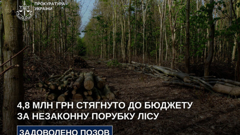 На Дніпропетровщині через незаконну вирубку лісу до бюджету стягнуть 4,8 млн грн