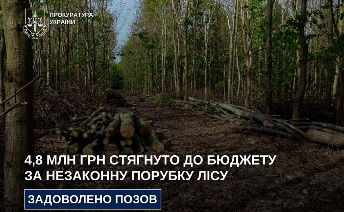 На Дніпропетровщині через незаконну вирубку лісу до бюджету стягнуть 4,8 млн грн
