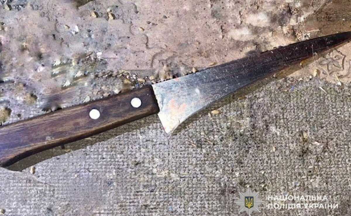 Вдарила чоловіка ножем у груди: правоохоронці Криворізького району затримали нападницю
