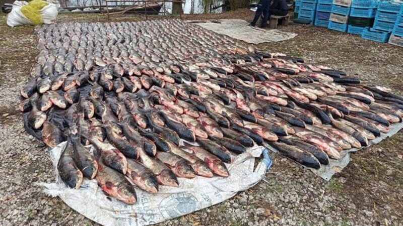 На Дніпропетровщині шестеро браконьєрів завдали збитків на 5,4 млн грн