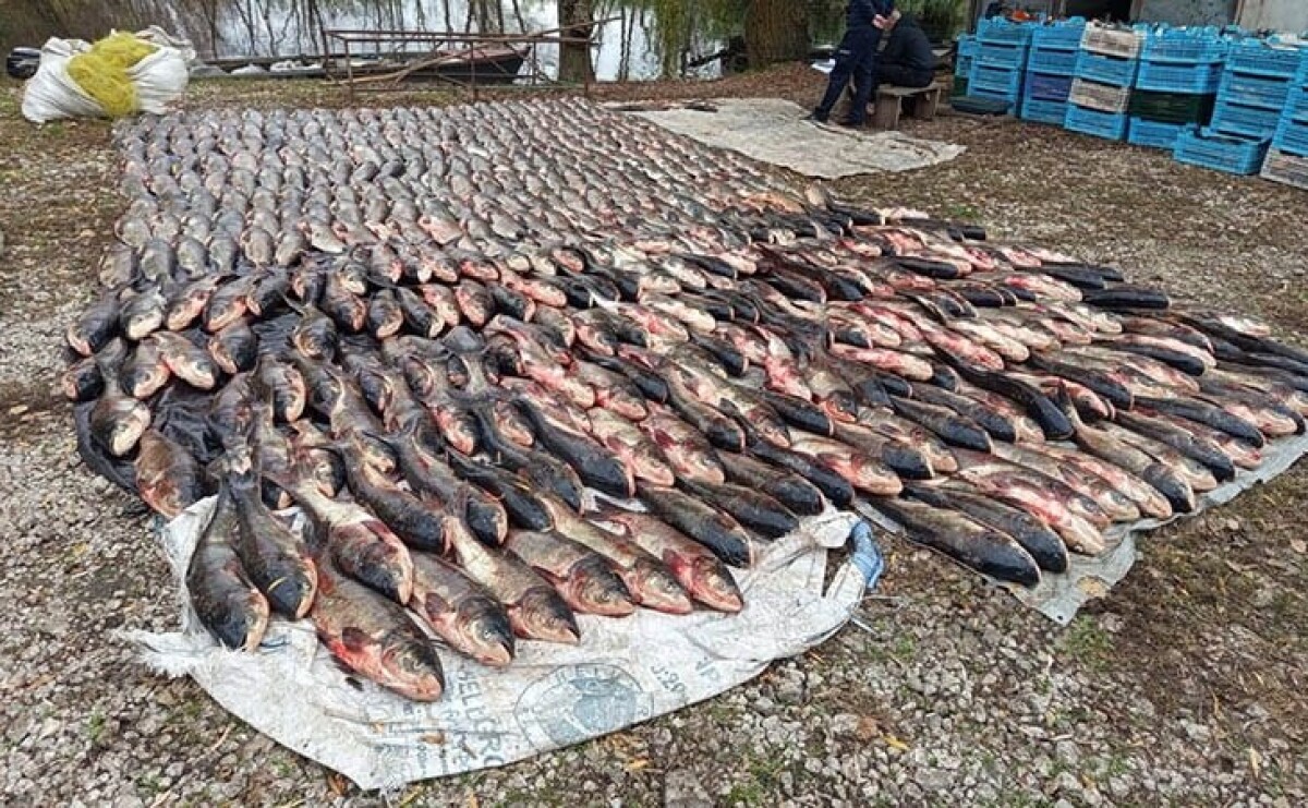 На Дніпропетровщині шестеро браконьєрів завдали збитків на 5,4 млн грн