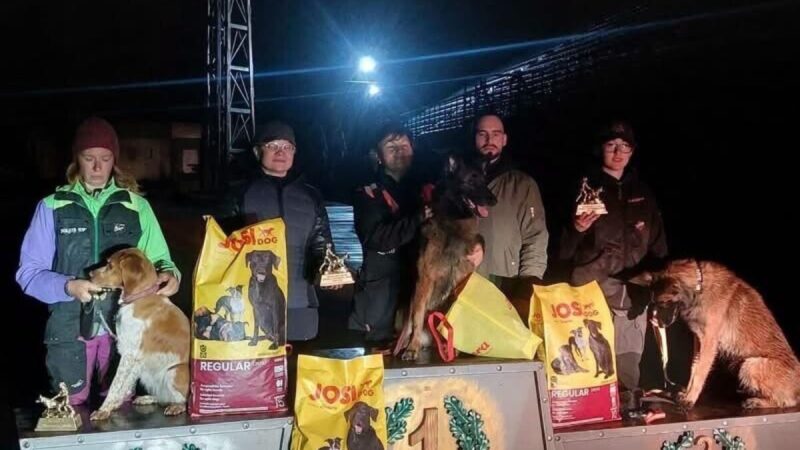 Собака-рятувальниця з Павлограда представлятиме Україну на чемпіонаті світу