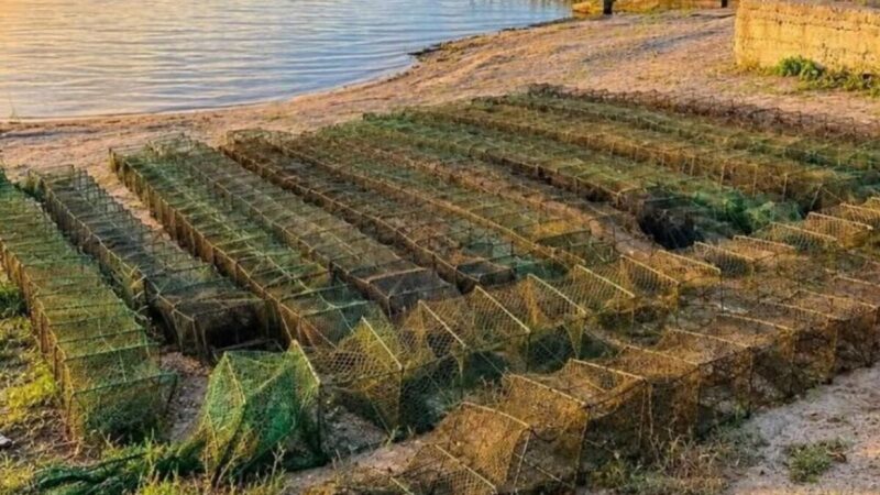 У Нікопольському районі з водосховища витягли понад сотню метрів покинутих браконьєрських раколовок