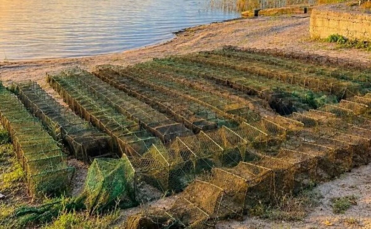 У Нікопольському районі з водосховища витягли понад сотню метрів покинутих браконьєрських раколовок