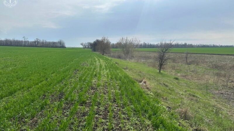 На Запоріжжі громаді повернуть 27 гектарів території заказника